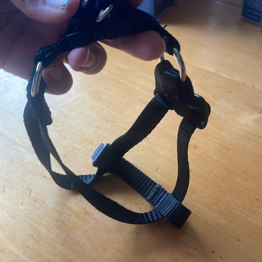 Lupine Step-In Harness 1/2in 10”-13”